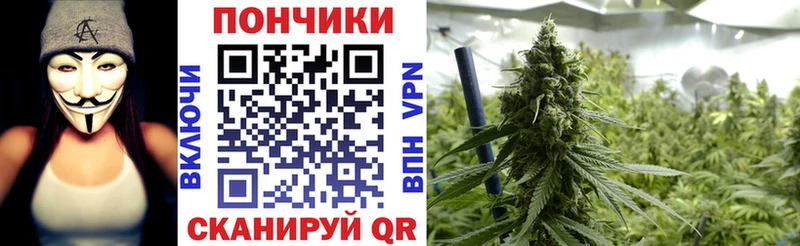 Шишки марихуана SATIVA & INDICA  Купить где  Лянтор 